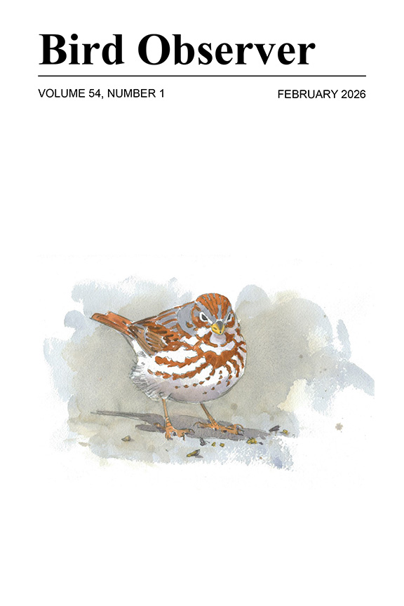 Front Cover: February 2026